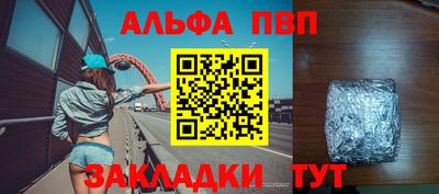 стаф Можга