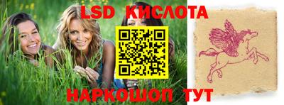 стаф Можга