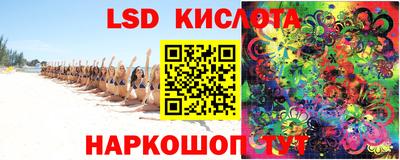 стаф Можга