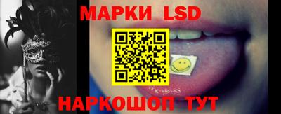 стаф Можга