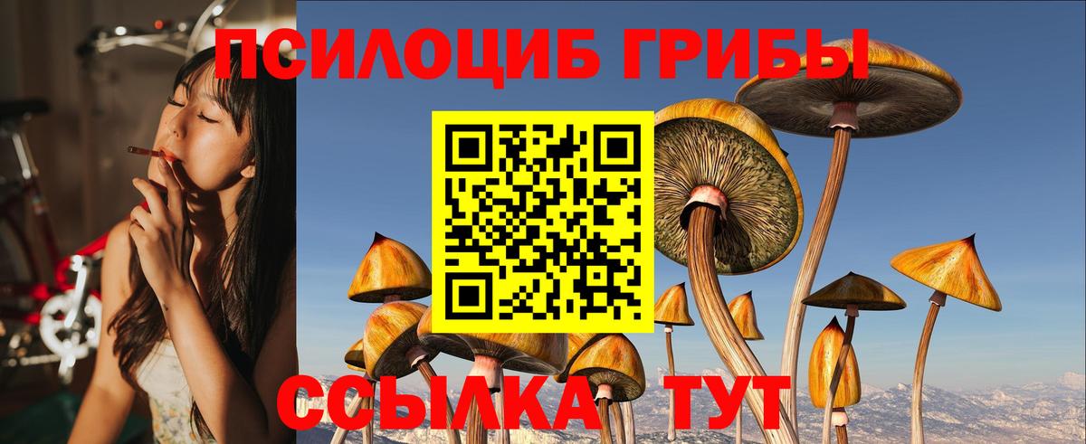 Галлюциногенные грибы GOLDEN TEACHER Черняховск