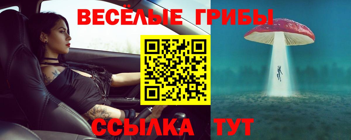 Галлюциногенные грибы мухоморы  Псилоцибиновые грибы прущие грибы  Вход с VPN  Черняховск 